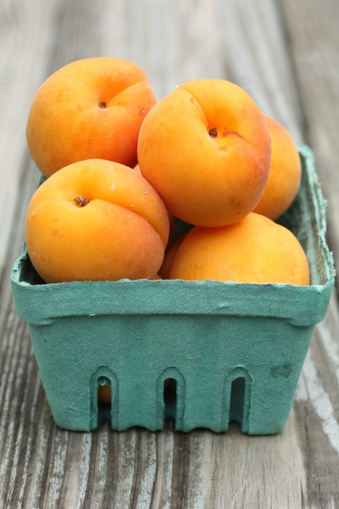 Apricot Cake Gloriously Delicious