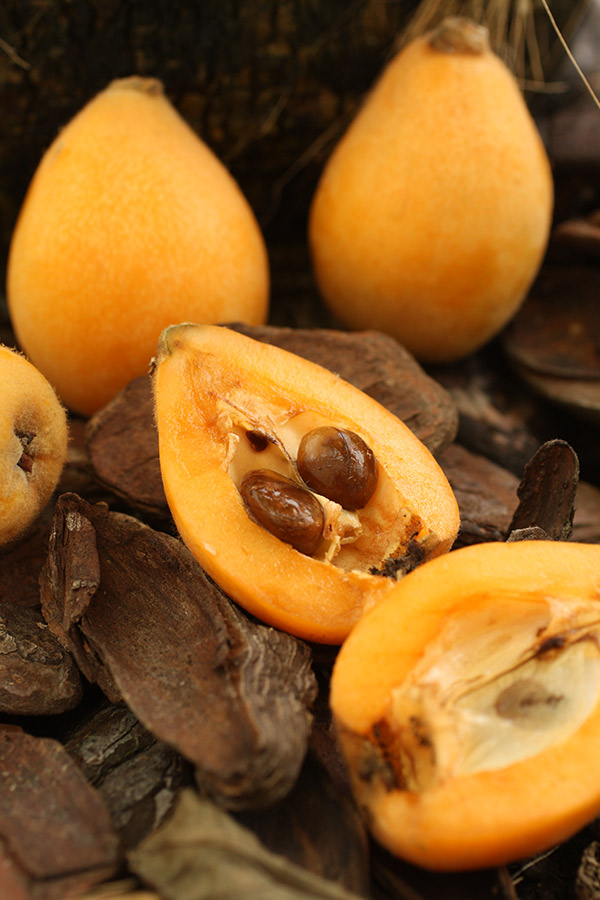 Nespera A Velvety Sweet Brazilian Fruit Chef Let cia