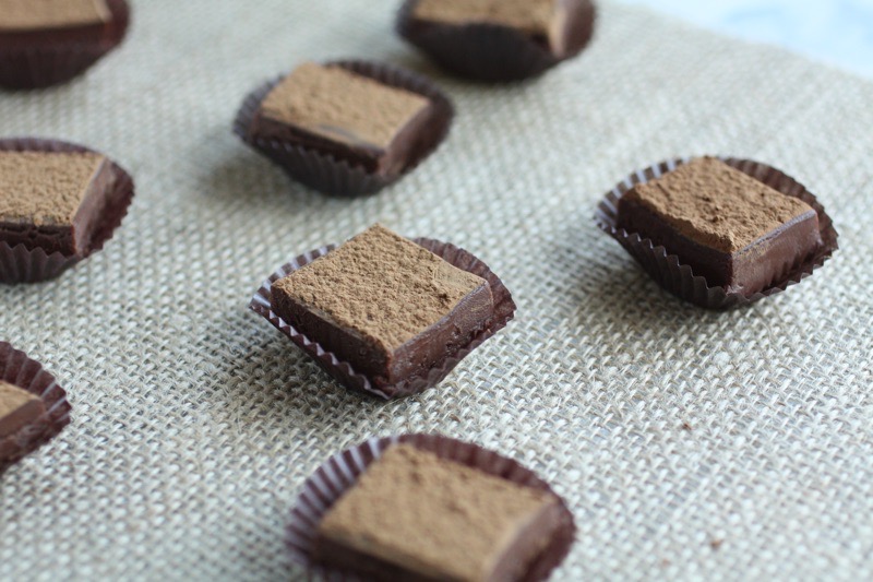 Chocolate Ganache Squares Recipe