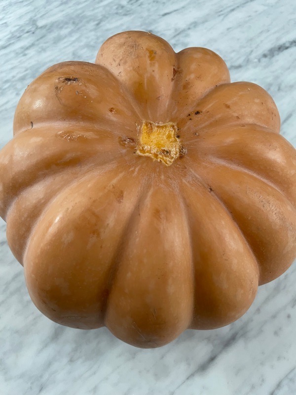 Autumn Squash (Moranga)